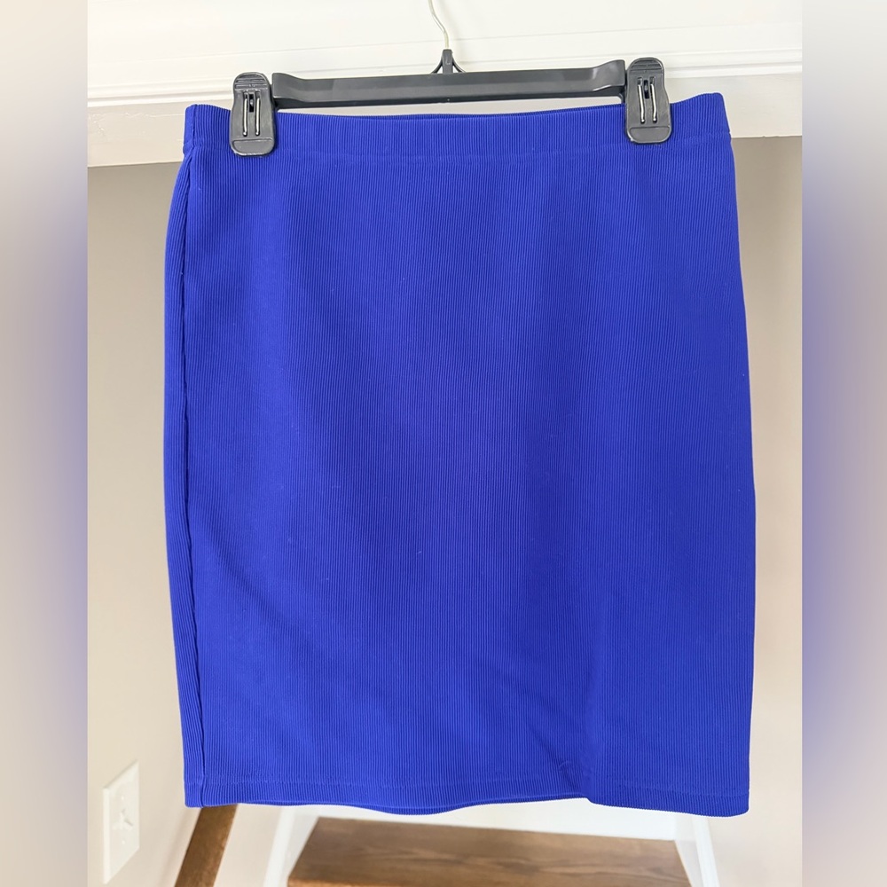 Elegant Blue Women's Skirt